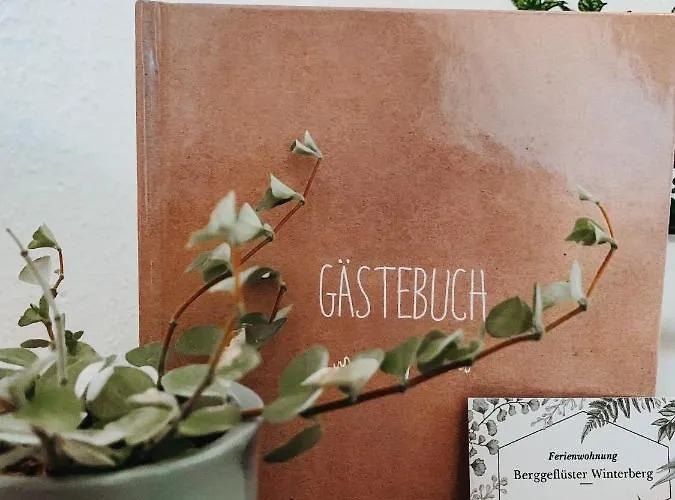 Berggeflüster Winterberg- Im Herzen Winterbergs Apartamento Winterberg